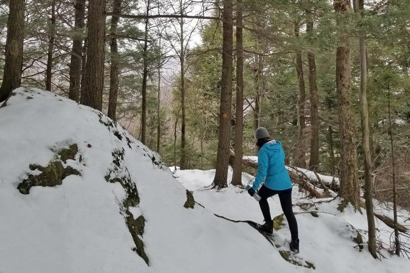 Quoi faire ce weekend en Estrie ?